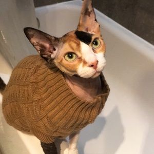 Meet your Posher, Kilea